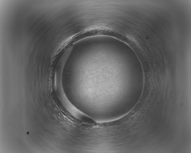 X0000058760872200510071513