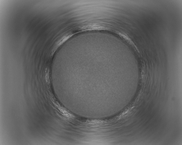 X0000058760873200510071513