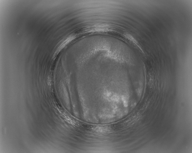 X0000058760874200510071513