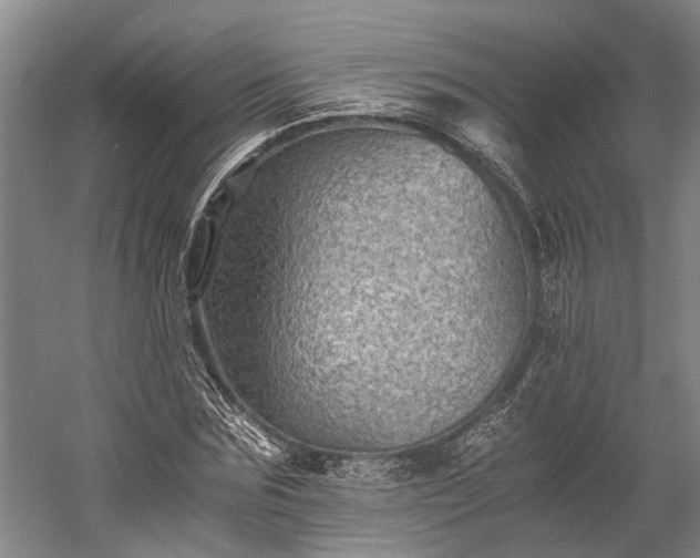 X0000058760875200510071513