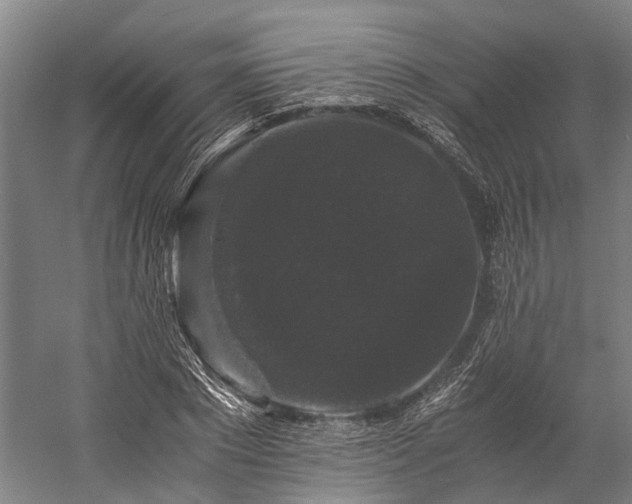 X0000058760881200510071513