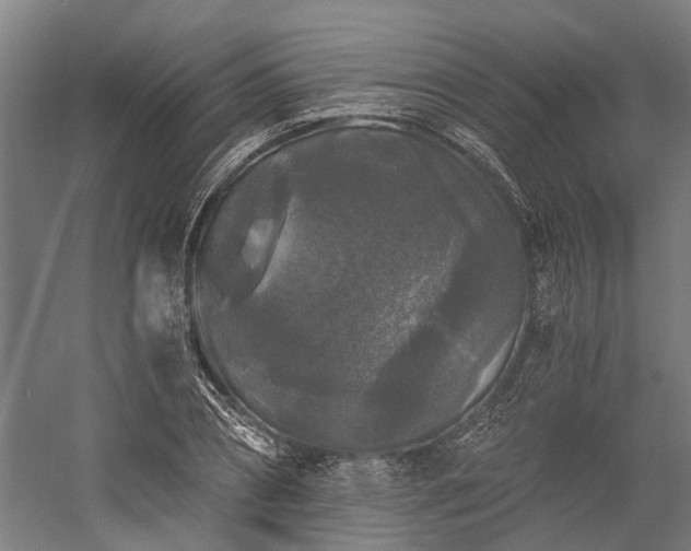 X0000058760882200510071513