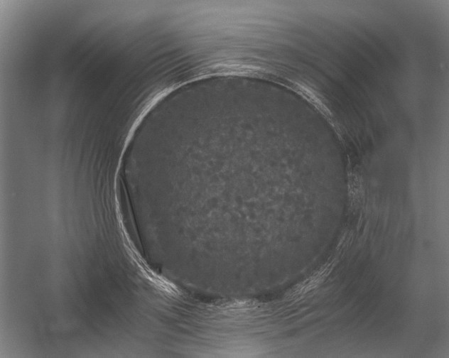 X0000058760891200510071513