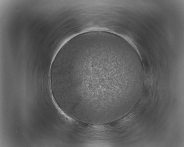 X0000058760911200510071513