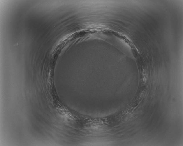 X0000058760919200510071512
