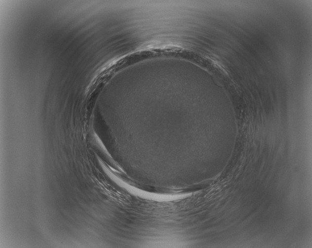 X0000058760920200510071512