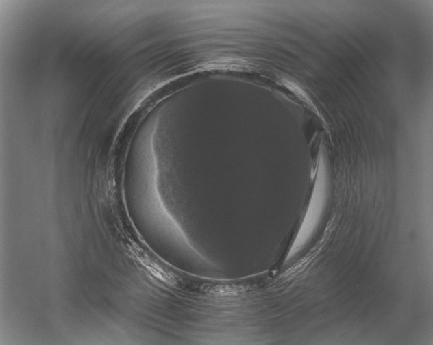 X0000058760923200510071512