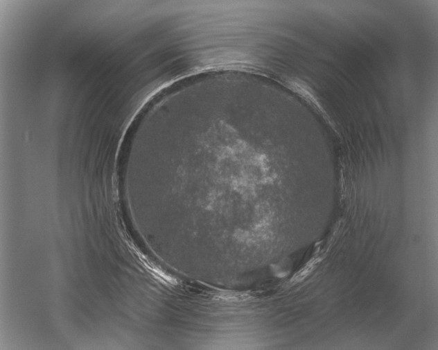 X0000058760924200510071512