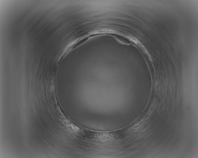 X0000058760945200510071512