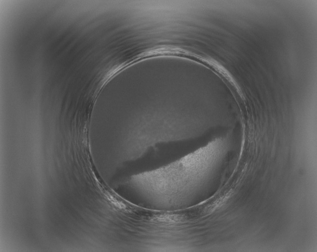 X0000058760953200510071513
