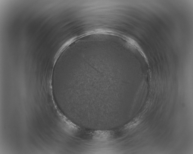 X0000058760954200510071513