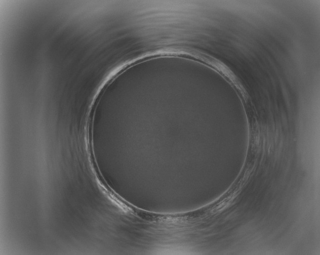 X0000058760958200510071513