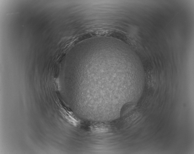 X0000058760962200510071512