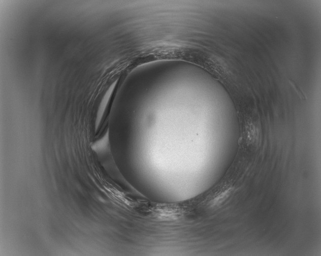 X0000058760964200510071512