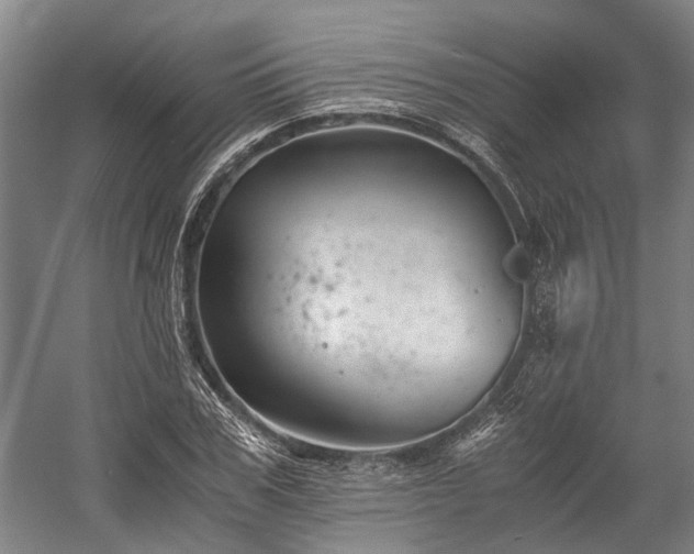 X0000058760979200510071512