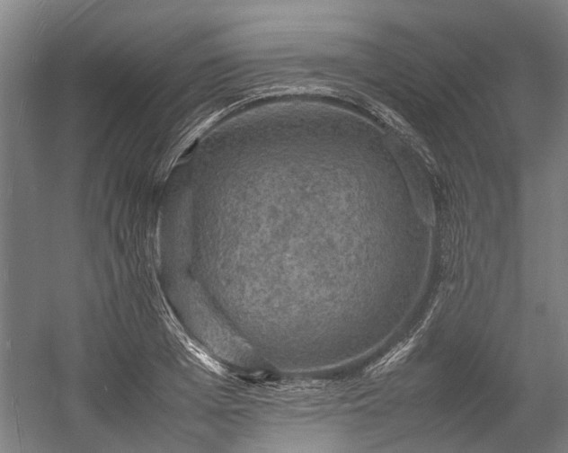 X0000058760985200510071512