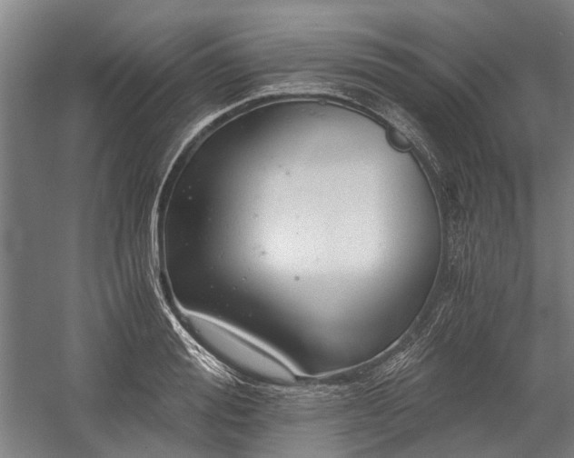 X0000058760988200510071511