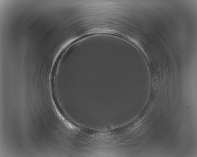 X0000058760995200510071511