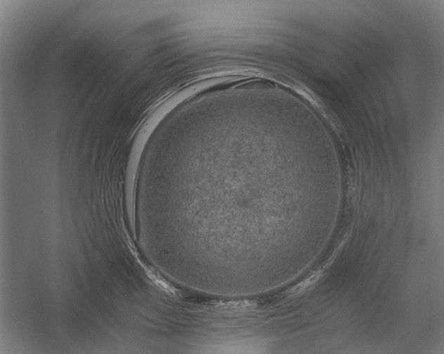 X0000058761001200510071511