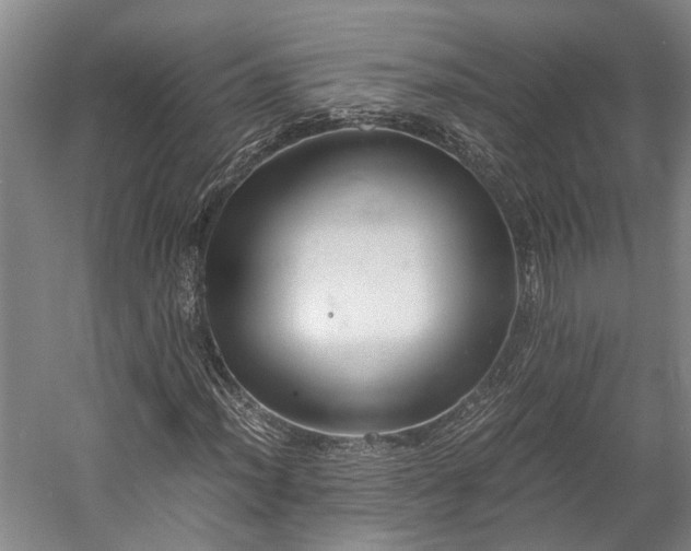 X0000058761012200510071510