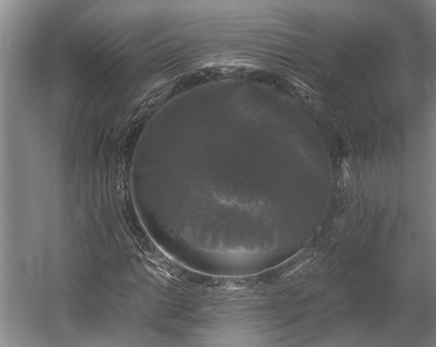 X0000058761014200510071510