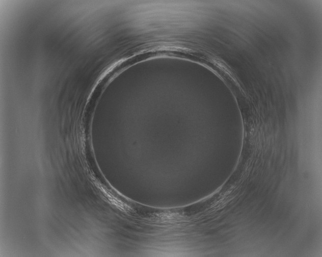 X0000058761024200510071511