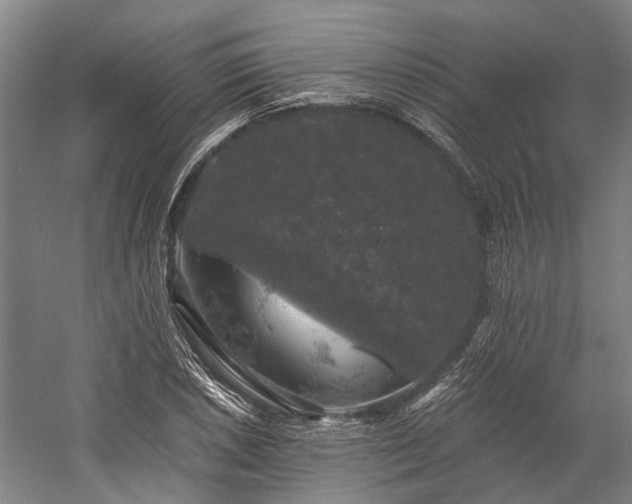 X0000058761026200510071511