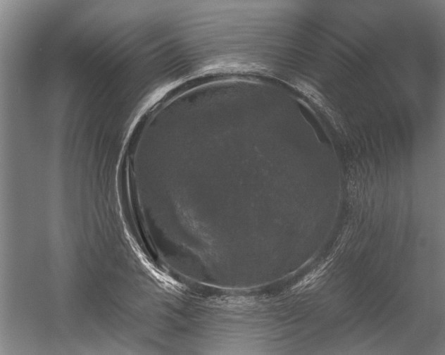 X0000058761030200510071511