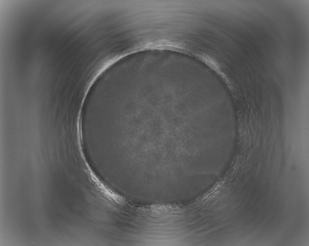 X0000058761032200510071511