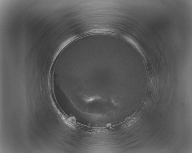 X0000058761050200510071511