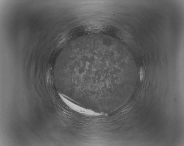 X0000058761059200510071510