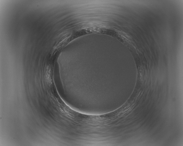 X0000058761060200510071510