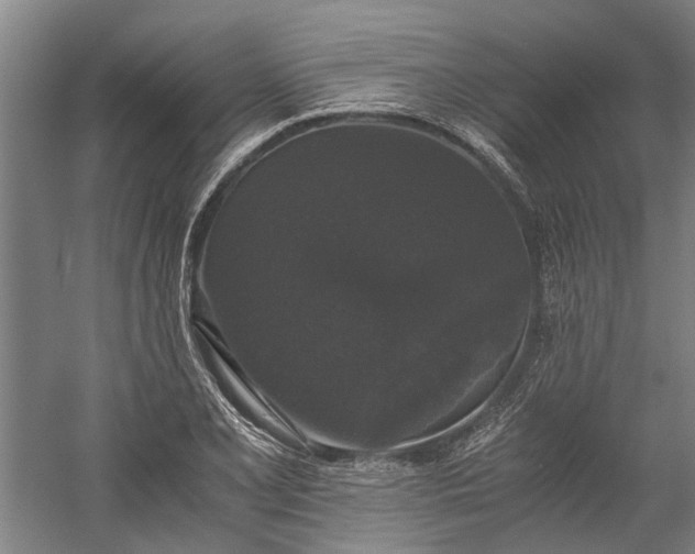 X0000058761077200510071510