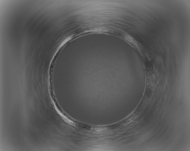 X0000058761095200510071510