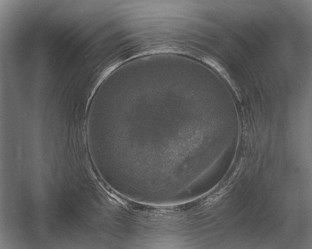 X0000058761097200510071510