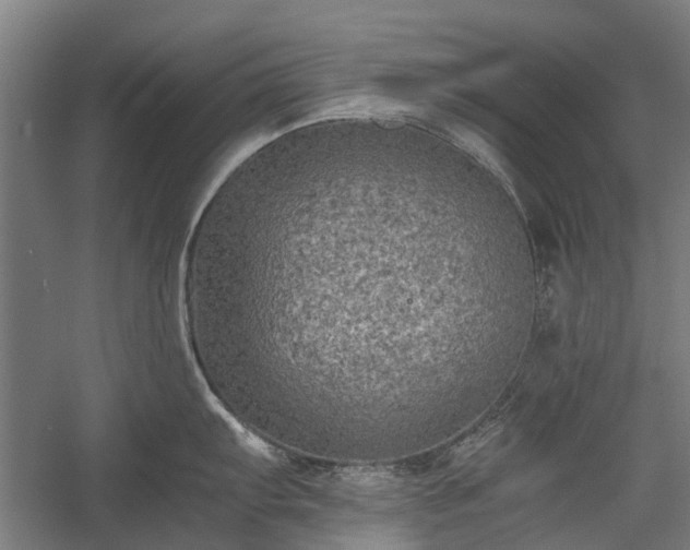 X0000058761103200510071510