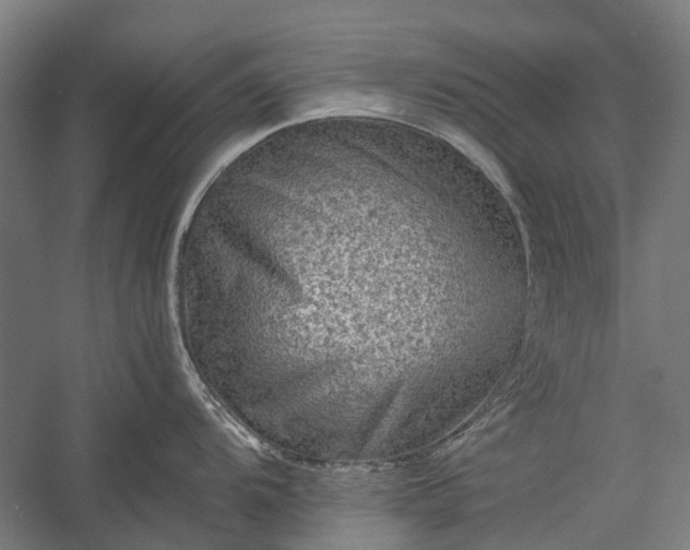X0000058761104200510071509
