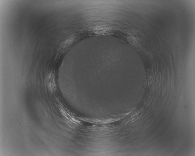 X0000058761106200510071509