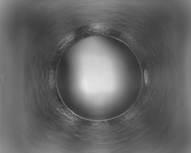 X0000058761107200510071509