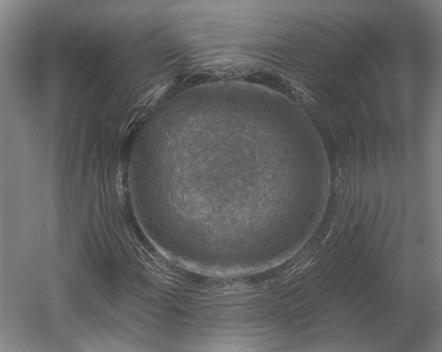 X0000058761108200510071509