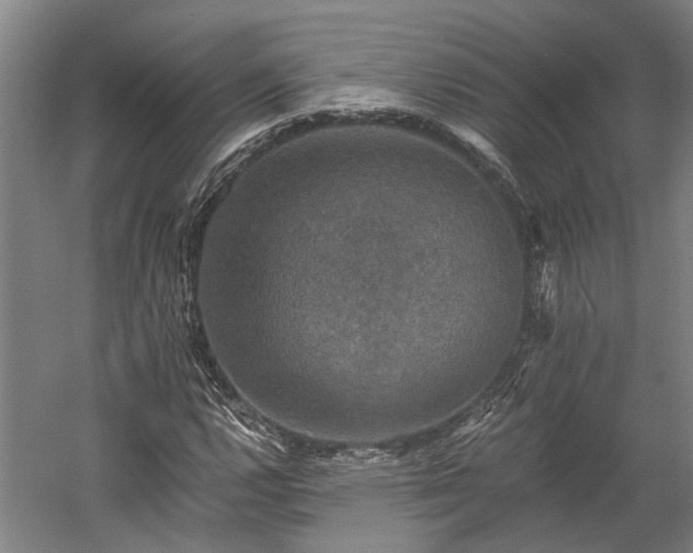 X0000058761112200510071509