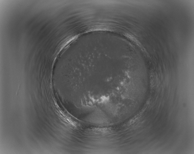 X0000058761121200510071509