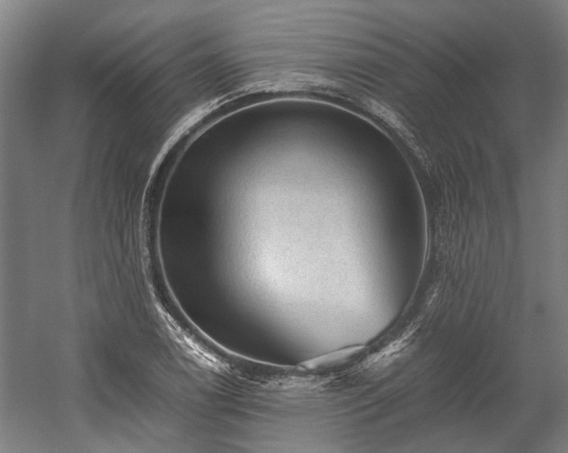 X0000058761122200510071509