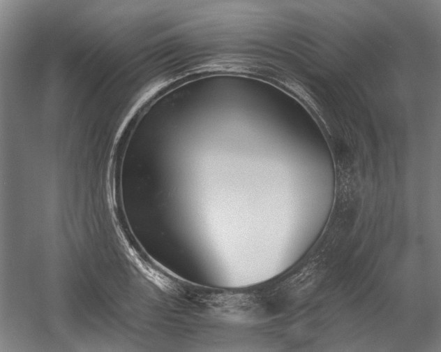 X0000058761131200510071509