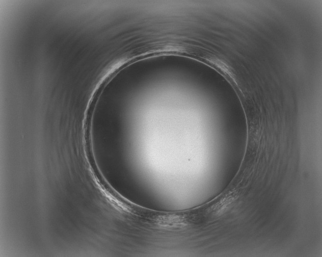 X0000058761135200510071509