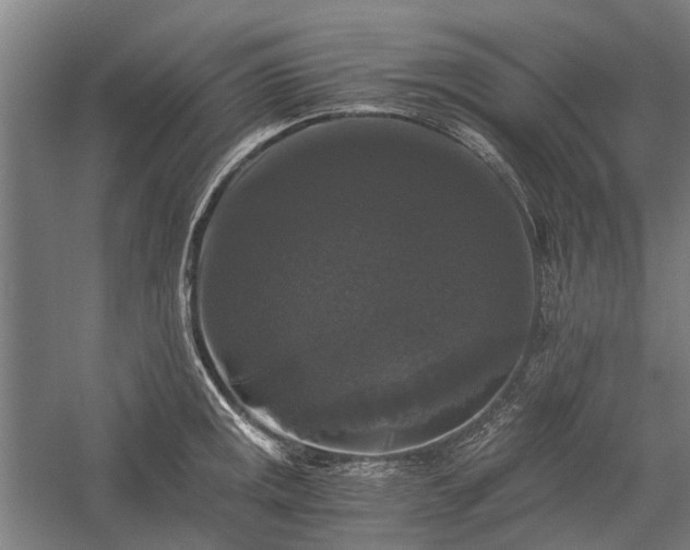 X0000058761141200510071509