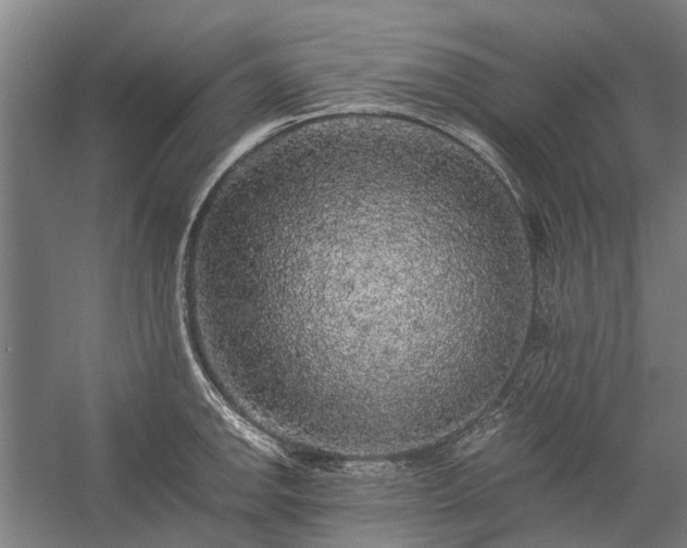X0000058761142200510071509