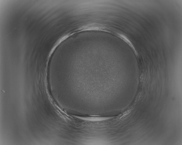 X0000058761146200510071509