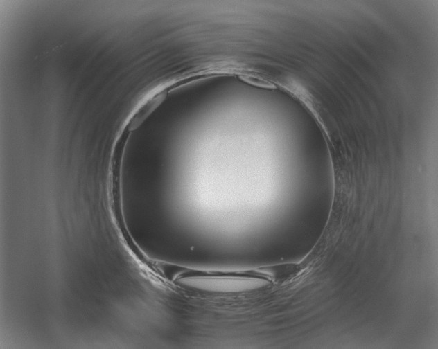 X0000058761147200510071509