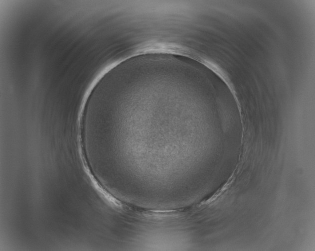 X0000058761152200510071509
